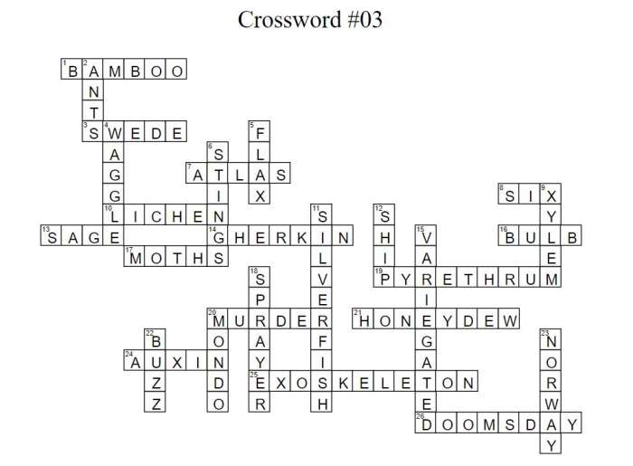 Crossword 03 Solution