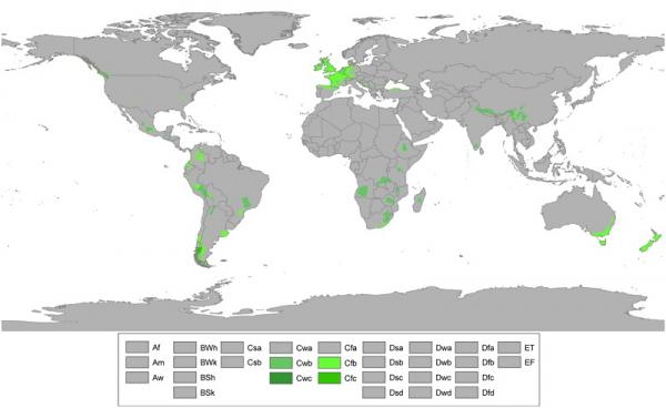 Koppen World Map