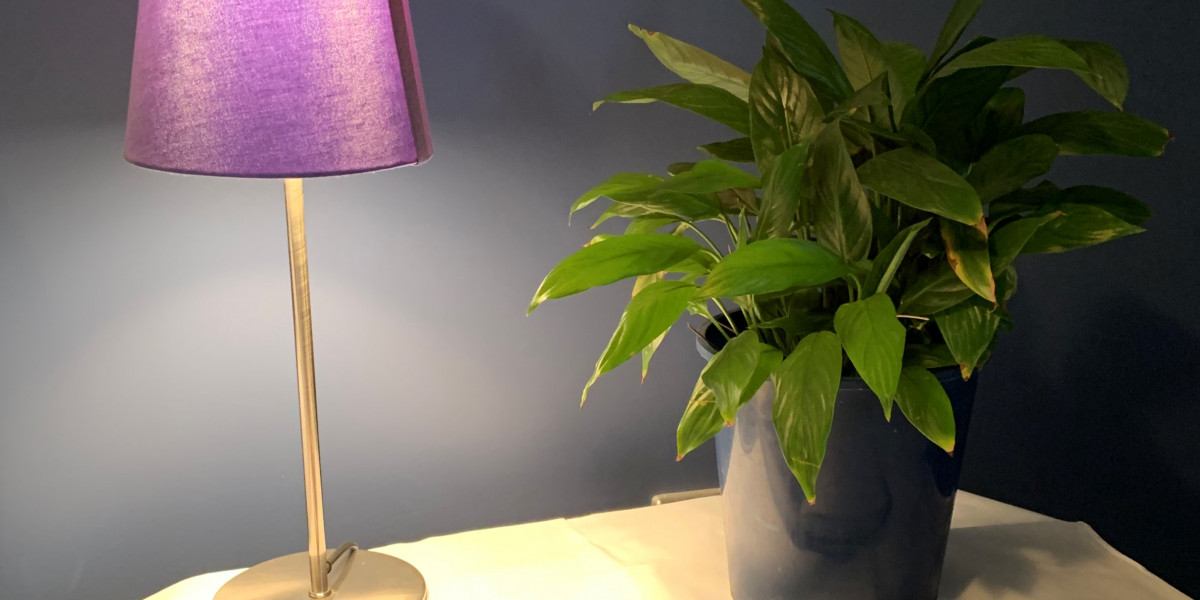 Using Artificial Lighting for Your Houseplants Kiwicare