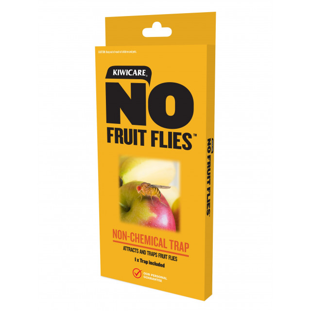Fruit Flies Control of Fruit Flies in Homes. Kiwicare