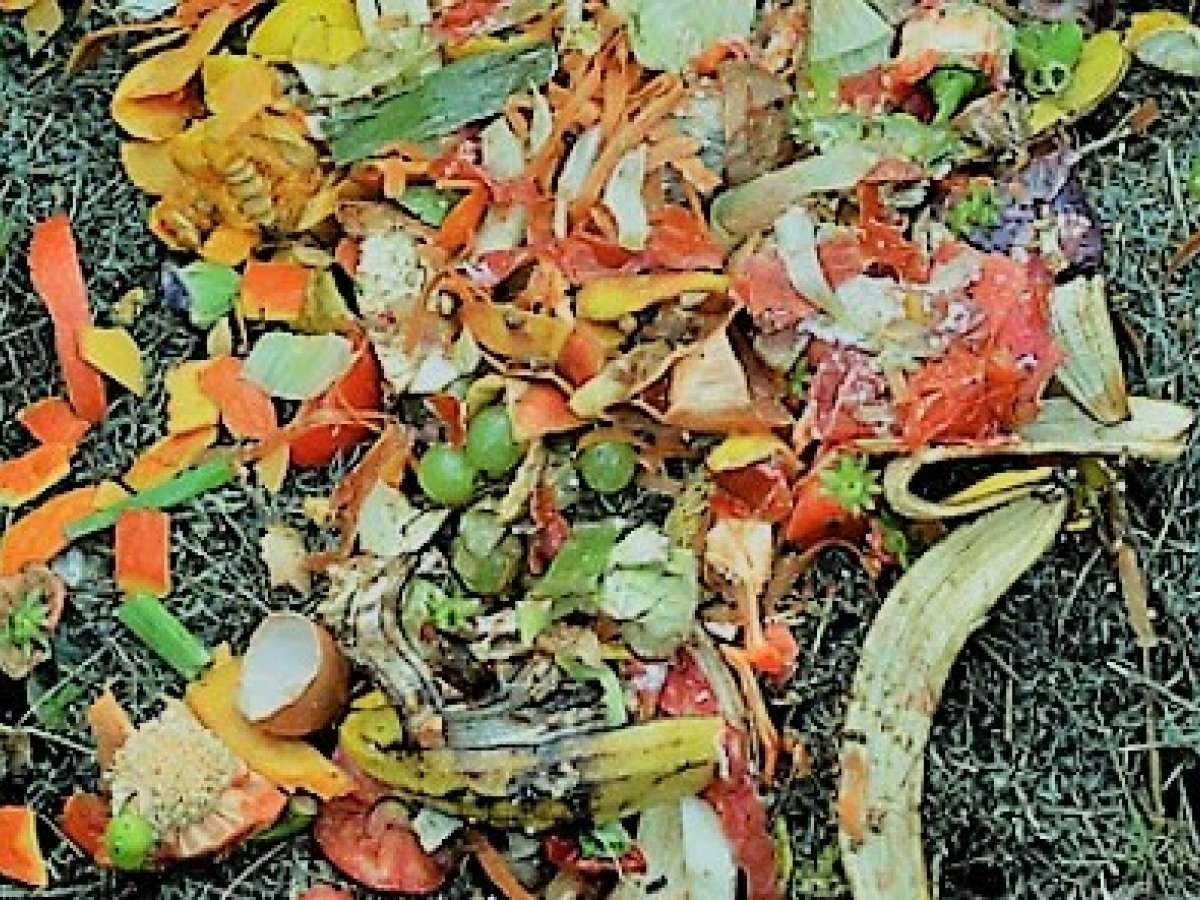 How to Make the Best Compost