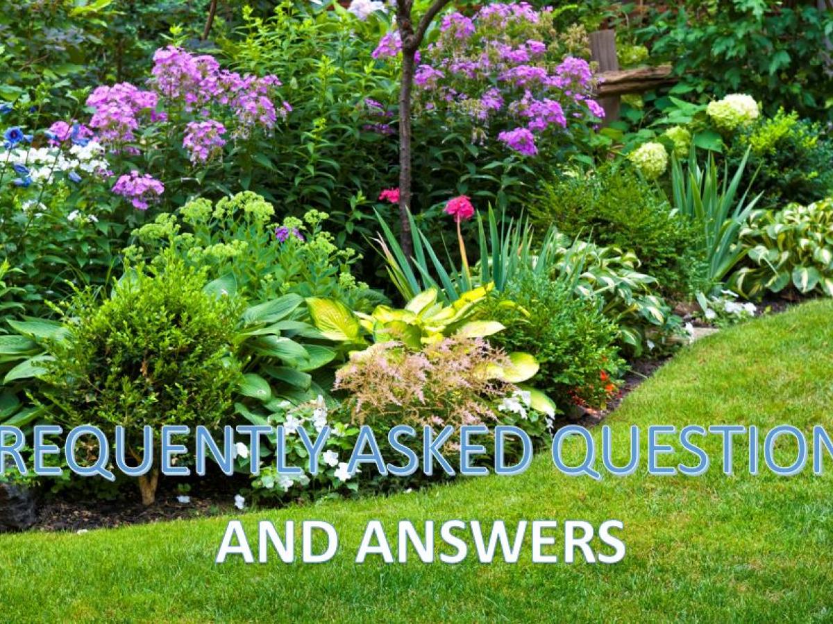Gardening FAQs