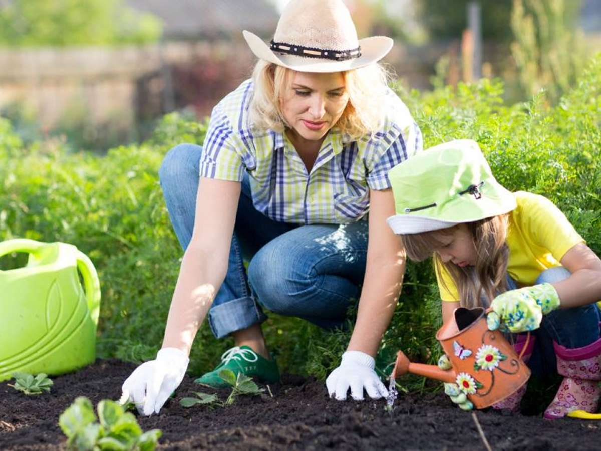 How to Get Children Interested in the Garden