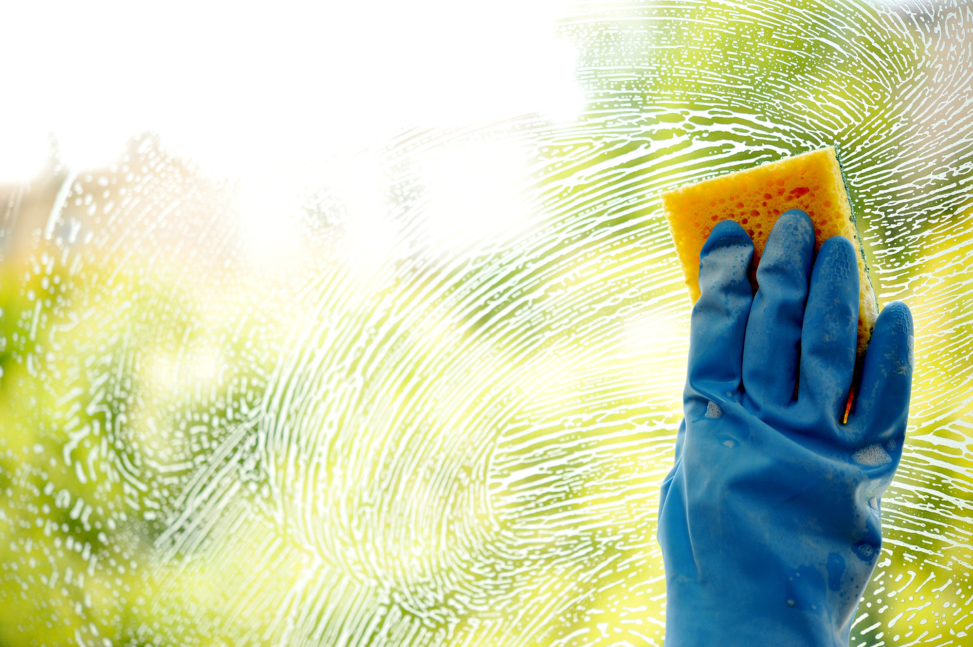 Outdoor Cleaning Help, Tips & Advice from Kiwicare Kiwicare