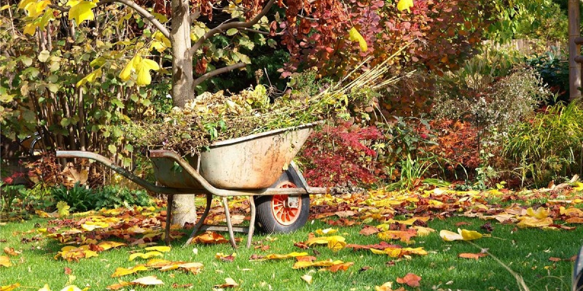 Advice - Why You Should Rake Leaves Off Your Lawn | Kiwicare