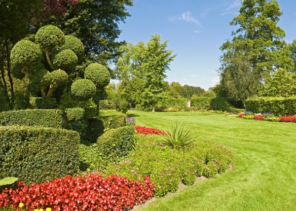 Check Shrubs Advice - How to Care for Shrubs. | Kiwicare